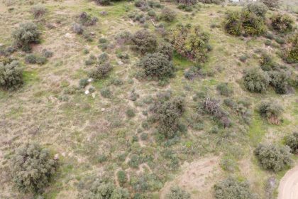 34c895303c74853acba227f3bca7ddbb - 11