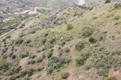 34c895303c74853acba227f3bca7ddbb - 12