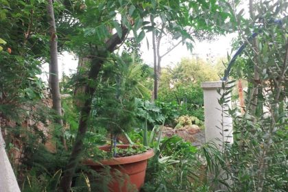 377fdbfa3c28e4f693e67e045f8f907e - 11