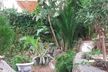 377fdbfa3c28e4f693e67e045f8f907e - 12