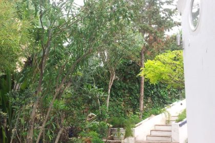 377fdbfa3c28e4f693e67e045f8f907e - 13