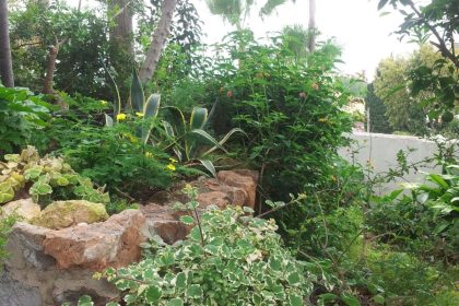 377fdbfa3c28e4f693e67e045f8f907e - 14