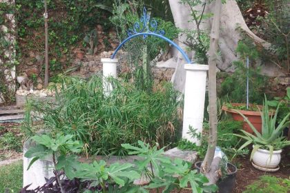 377fdbfa3c28e4f693e67e045f8f907e - 3