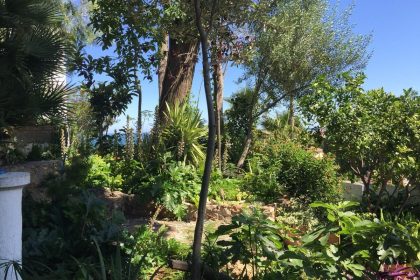 377fdbfa3c28e4f693e67e045f8f907e - 4