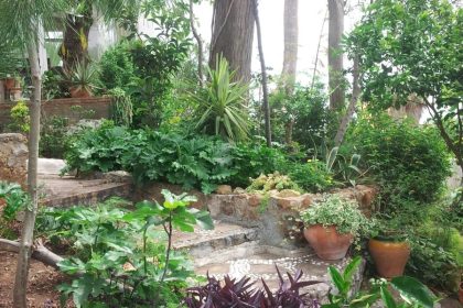 377fdbfa3c28e4f693e67e045f8f907e - 7