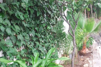 377fdbfa3c28e4f693e67e045f8f907e - 9