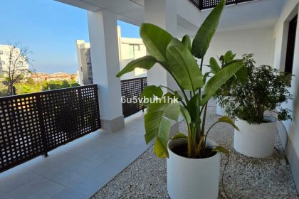 3a3735cc37286b8808d76842908e1faa - 17