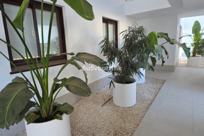 3a3735cc37286b8808d76842908e1faa - 19