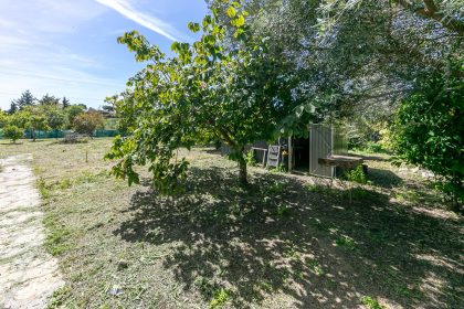 3c90ac1db602e61961ab9d34eeea5752 - 54