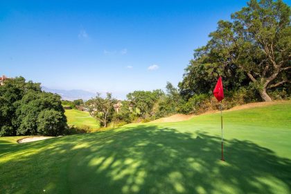 44fe4760ecef7203c1bf4905d86e6cfc - 40