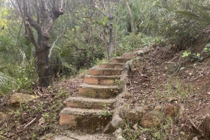 45c7ad94d2a0911b9f4f64bce542acaa - 29