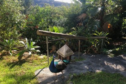 45c7ad94d2a0911b9f4f64bce542acaa - 30