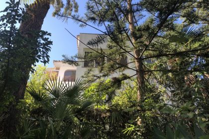 45c7ad94d2a0911b9f4f64bce542acaa - 31