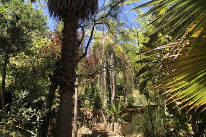 45c7ad94d2a0911b9f4f64bce542acaa - 32