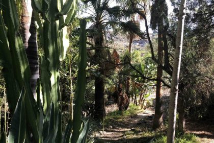 45c7ad94d2a0911b9f4f64bce542acaa - 33