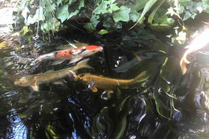 45c7ad94d2a0911b9f4f64bce542acaa - 34