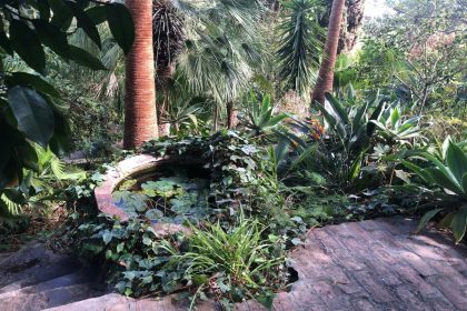 45c7ad94d2a0911b9f4f64bce542acaa - 35