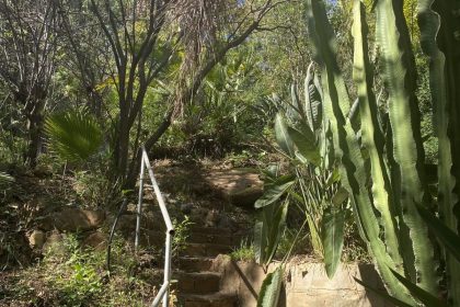 45c7ad94d2a0911b9f4f64bce542acaa - 37