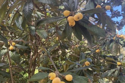 45c7ad94d2a0911b9f4f64bce542acaa - 38