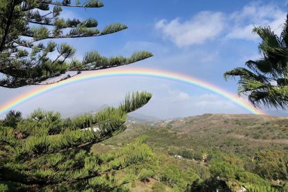 45c7ad94d2a0911b9f4f64bce542acaa - 40