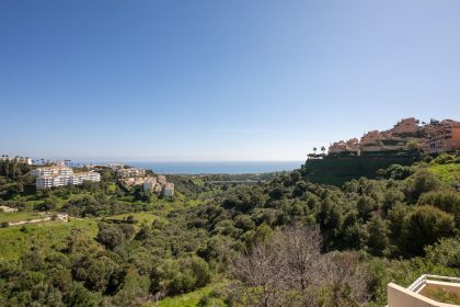 4845acff7439807ff1c2e75828dbabc1 - 14