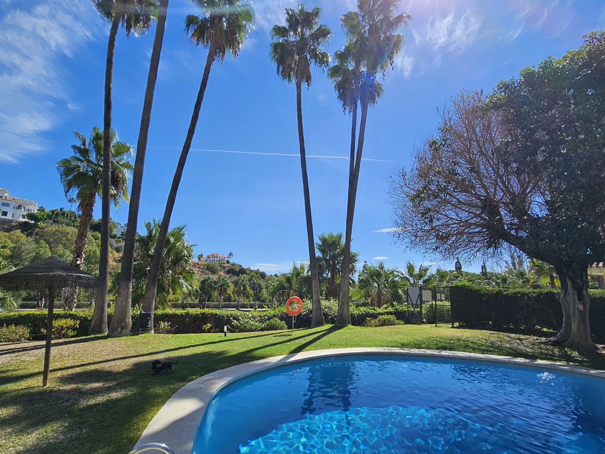 49b10904b26f7964d3ff291eb9d1d05a - 24