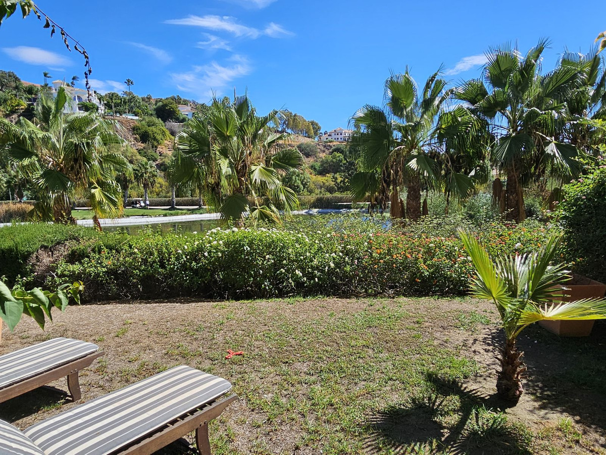 49b10904b26f7964d3ff291eb9d1d05a - 26