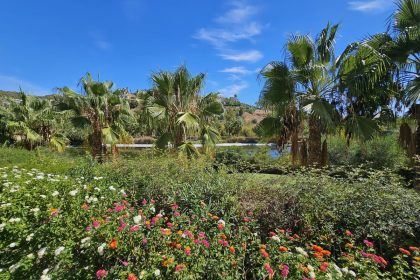 49b10904b26f7964d3ff291eb9d1d05a - 28