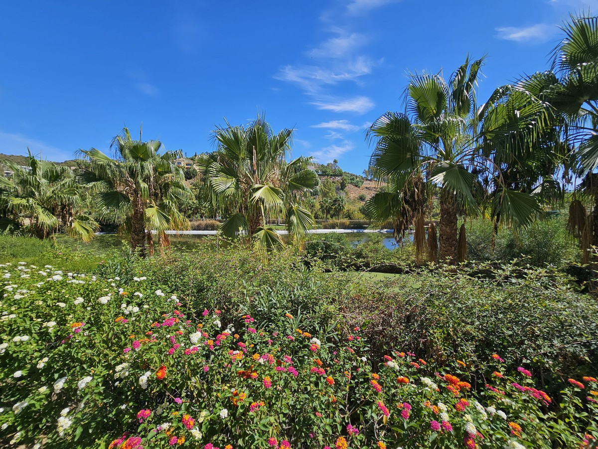 49b10904b26f7964d3ff291eb9d1d05a - 28