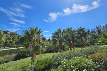 49b10904b26f7964d3ff291eb9d1d05a - 29