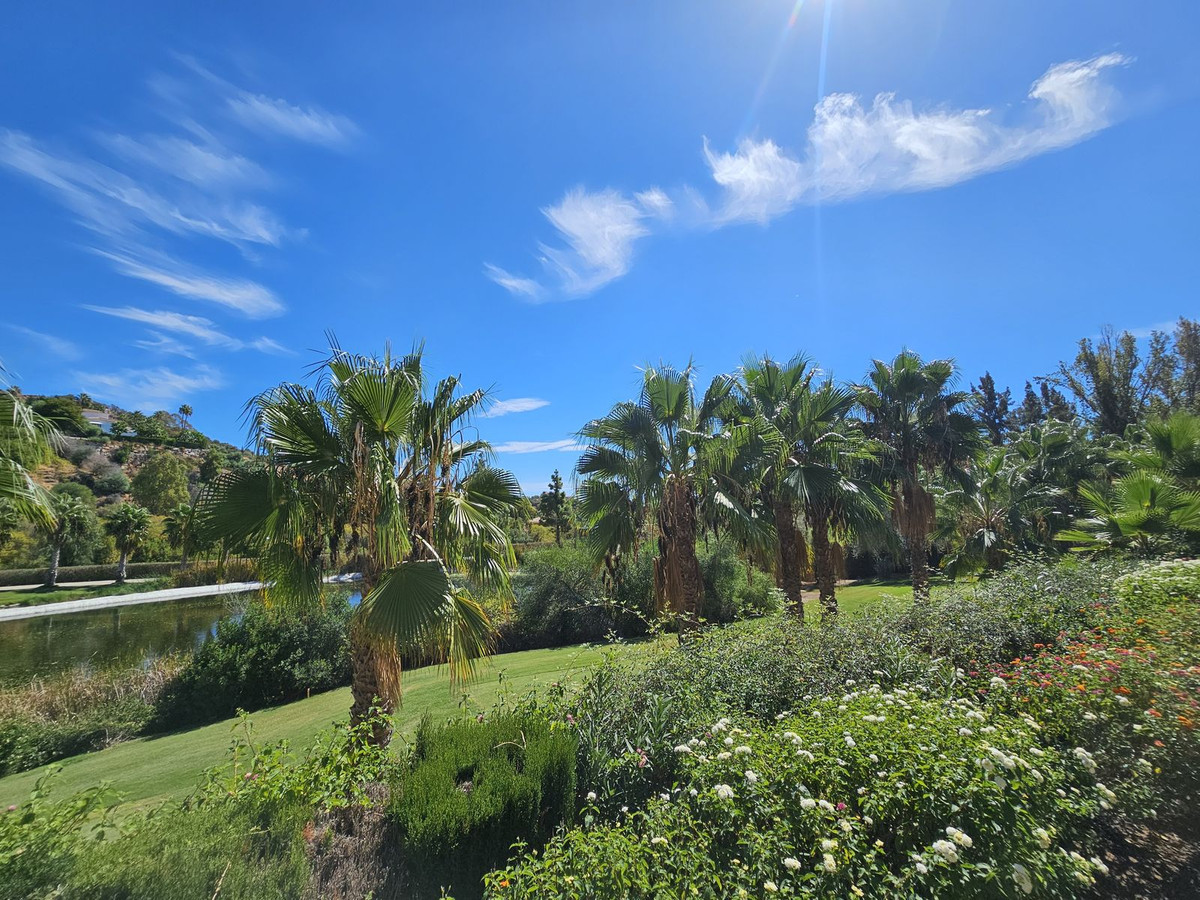 49b10904b26f7964d3ff291eb9d1d05a - 29