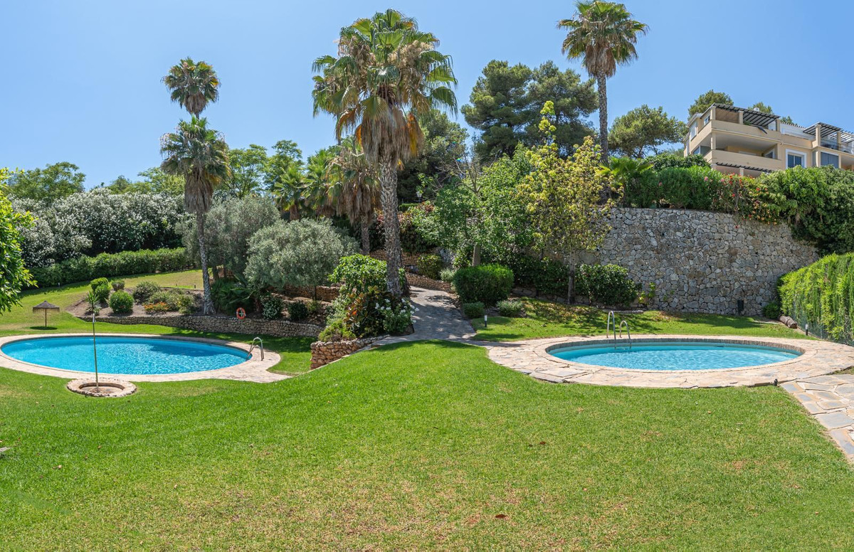 49b10904b26f7964d3ff291eb9d1d05a - 30