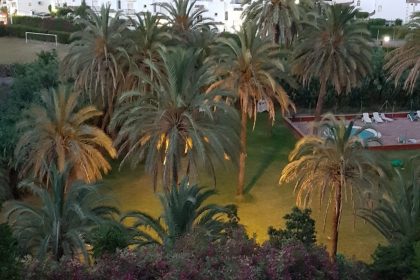 4b34f68a6480c6cd66962173a9437a02 - 25