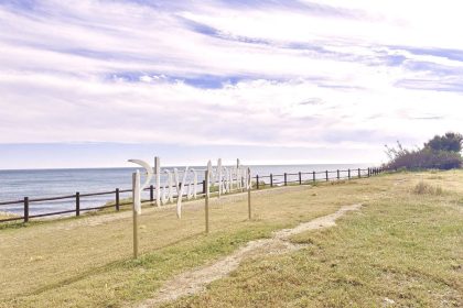 6a90d3d59358e5cda8fa6e03a5edebd9 - 22