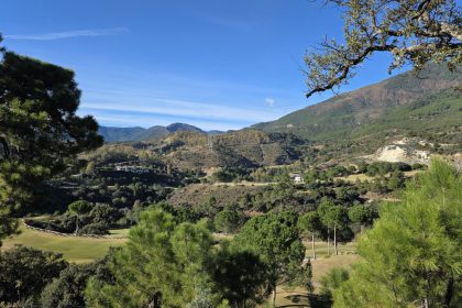 6c12679e7e4997e21f0bde36151ea2d9 - 1