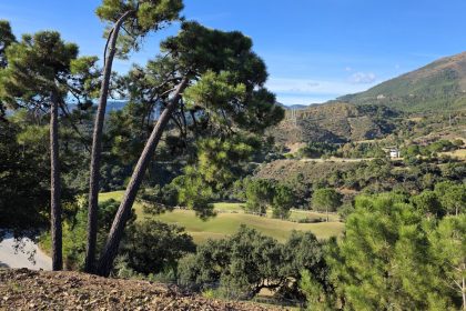 6c12679e7e4997e21f0bde36151ea2d9 - 3