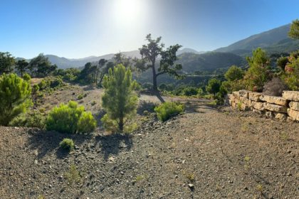 6c12679e7e4997e21f0bde36151ea2d9 - 38