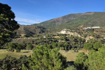 6c12679e7e4997e21f0bde36151ea2d9 - 39