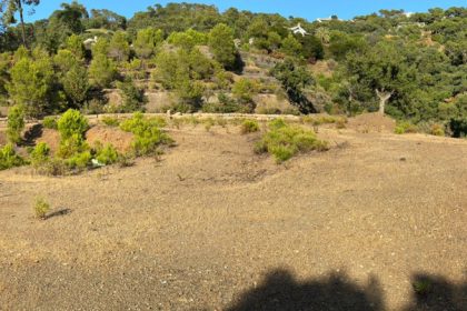 6c12679e7e4997e21f0bde36151ea2d9 - 41