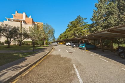 763770f236707c6e8aa8d1e3a297a0e4 - 29