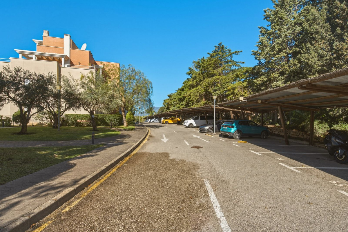 763770f236707c6e8aa8d1e3a297a0e4 - 29