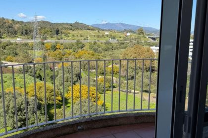 7eb0f86941ad81d0f7dffff790e7b40c - 2