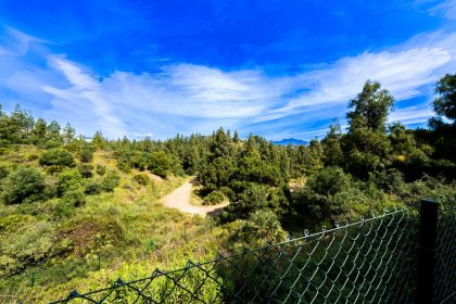 8171f48f23e41de1babf533b58a5091c - 44