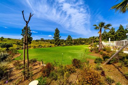 8171f48f23e41de1babf533b58a5091c - 45