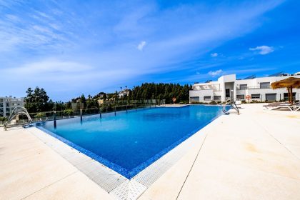 8171f48f23e41de1babf533b58a5091c - 5