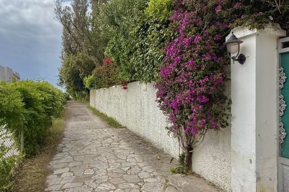 899ccc8c35cbdfec2ec93696677ab503 - 37