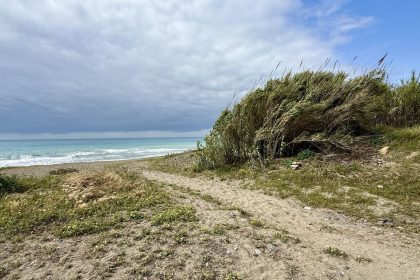 899ccc8c35cbdfec2ec93696677ab503 - 38