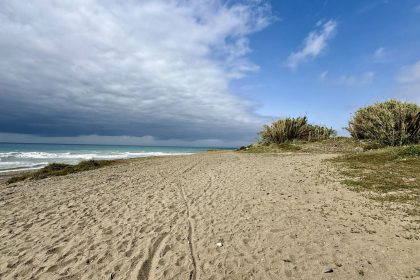 899ccc8c35cbdfec2ec93696677ab503 - 39