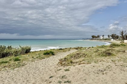 899ccc8c35cbdfec2ec93696677ab503 - 41