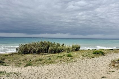 899ccc8c35cbdfec2ec93696677ab503 - 42